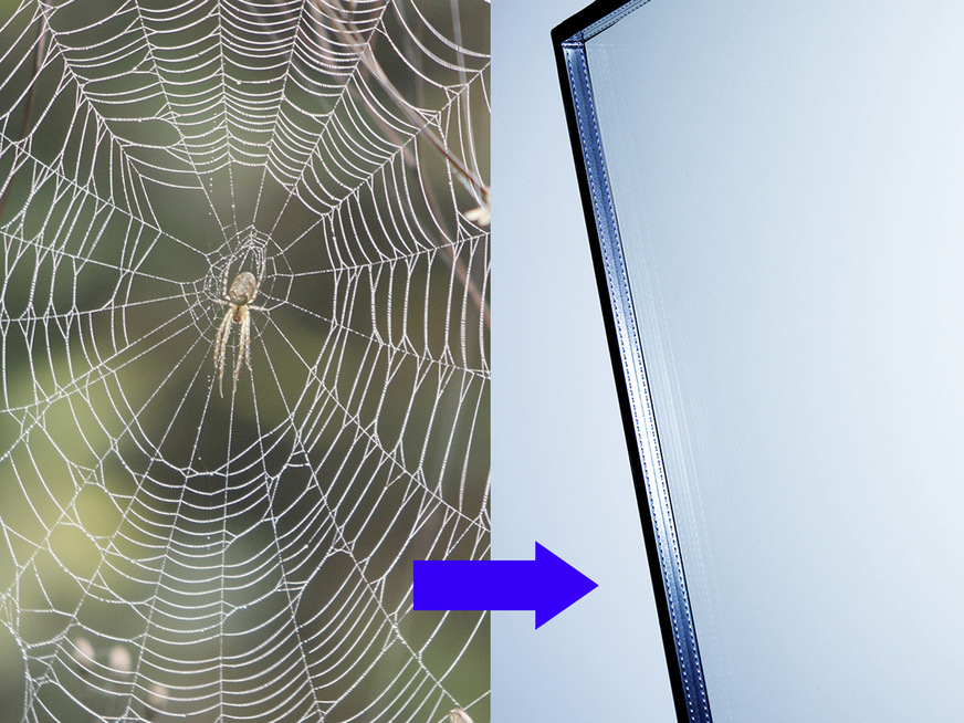 Die Technik hinter Ornilux mikado ist von Spinnennetzen inspiriert. Diese reflektieren UV-Licht, das von den meisten Vogelarten erkannt wird, und sie die filigranen Gebilde umfliegen.