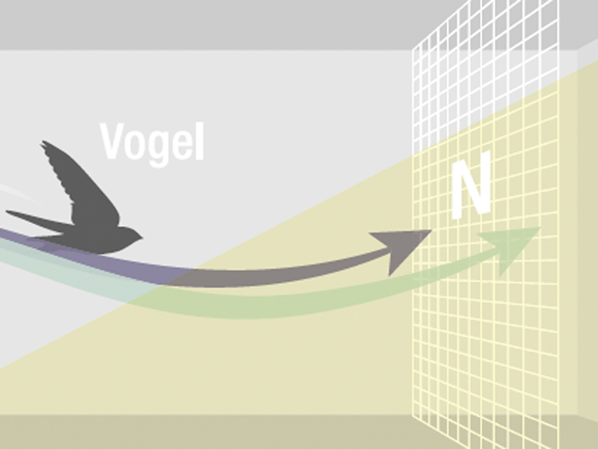 Beim Anflugtest wird geprüft, welche Vögel den Weg in Richtung Kontrollscheibe﻿ K nehmen – und damit das Ornilux-Glas als Hindernis erkennen. Ein spezielles Netz (N) stoppt die Vögel rechtzeitig und sorgt dafür, dass sie sich beim Test nicht verletzen.