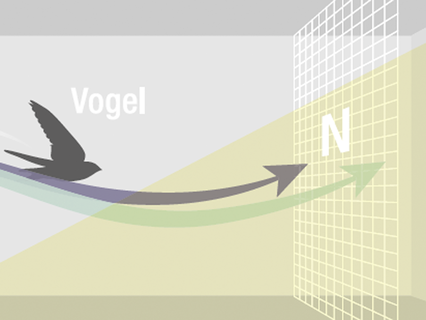 Beim Anflugtest kann ein Vogel wahlweise eine Kontrollscheibe (K) oder die Ornilux-Testscheibe (T) anfliegen. In Versuchen wird dokumentiert welcher Anteil der Vögel den Weg in Richtung Kontrollscheibe K nimmt – und damit das Ornilux-Glas als Hindernis erkennt. Ein spezielles Netz (N) stoppt die Vögel rechtzeitig und sorgt dafür, dass sie sich beim Test nicht verletzen.