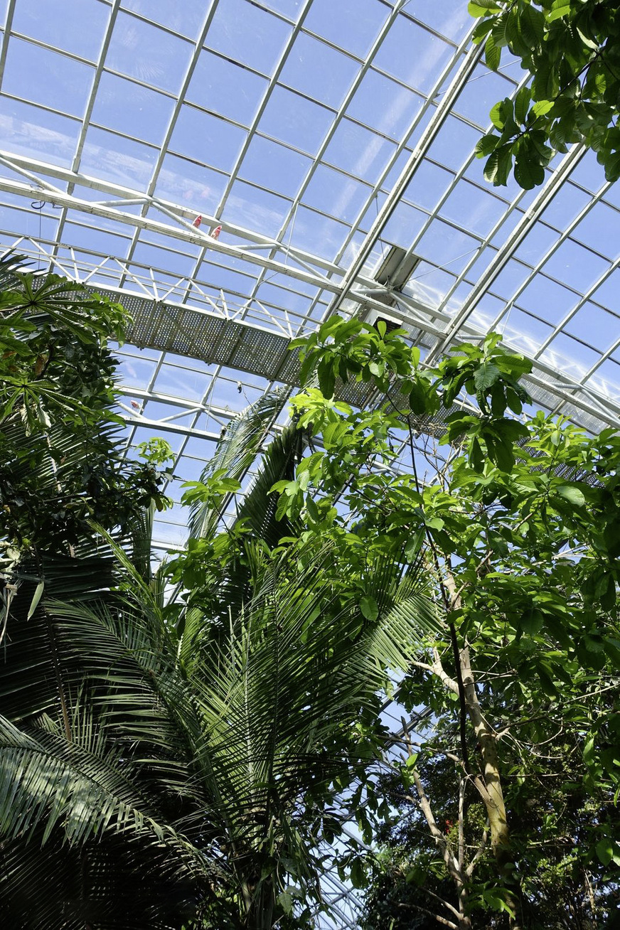 Gleich der erste Großauftrag mit Super Spacern ein Leuchtturmprojekt in Frankreich: 6000 m2 kaltgebogene High-Performance Isoliergläser für ein neues Glashaus im Pariser Zoo Vincennes.