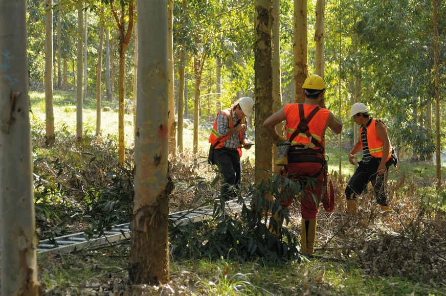 CO2-Kompensation ist eine wichtige Maßnahme in&nbsp;der Hörmann Klimaschutzstrategie. Verbleibende Emissionen werden mit der Förderung von Klimaschutzprojekten in Zusammenarbeit mit ClimatePartner ausgeglichen. Dazu&nbsp;gehört ein Aufforstungsprojekt in Uruguay.