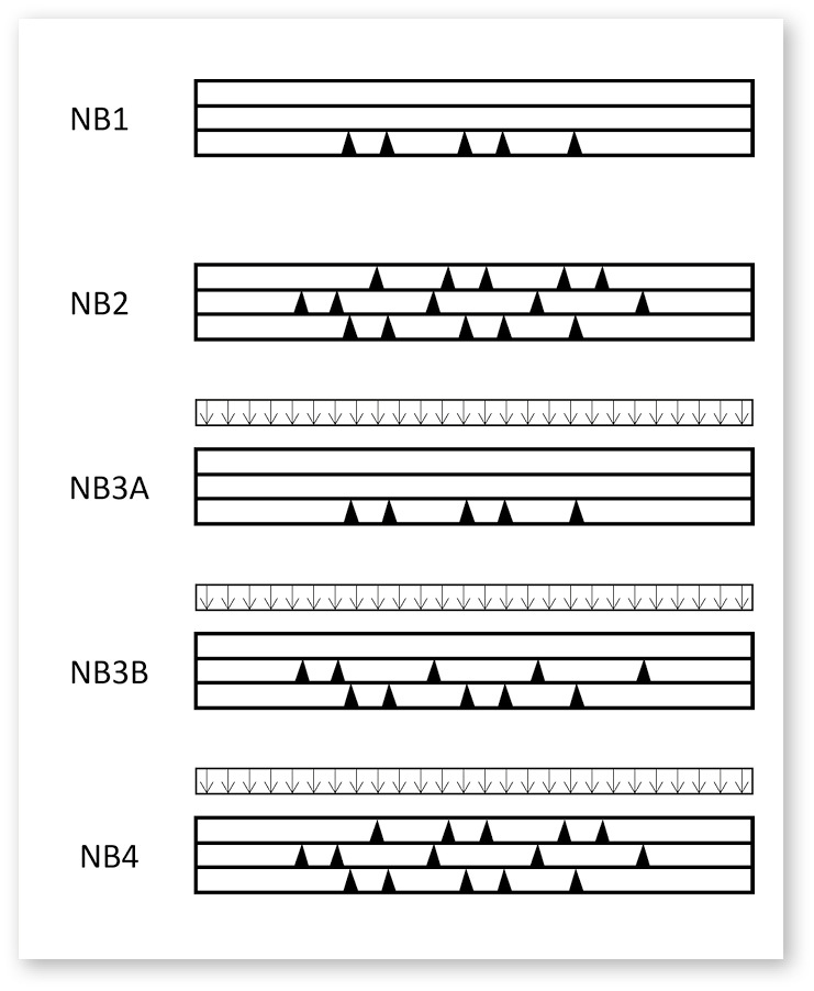 Schematische Darstellung der Bruchzustände NB1, NB2, NB3A, NB3B und NB4 mit Einwirkungszuständen