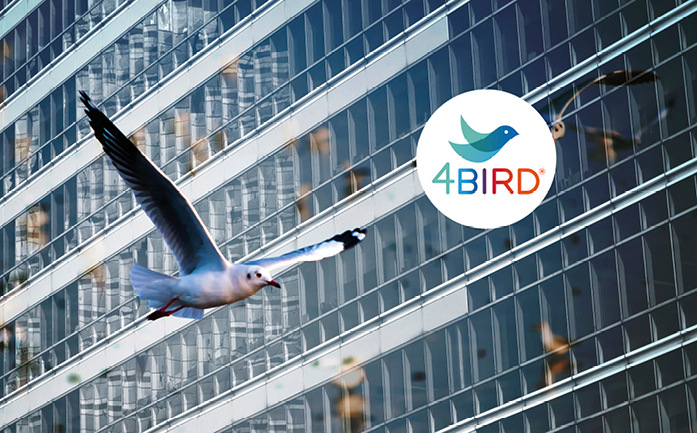Die neue 4BIRD Vogelschutzglas-Serie umfasst vier ­geprüfte Vogelschutz Designs.