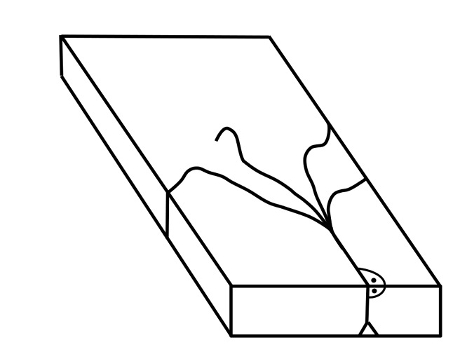 Schematische Darstellung eines Y-Bruchs