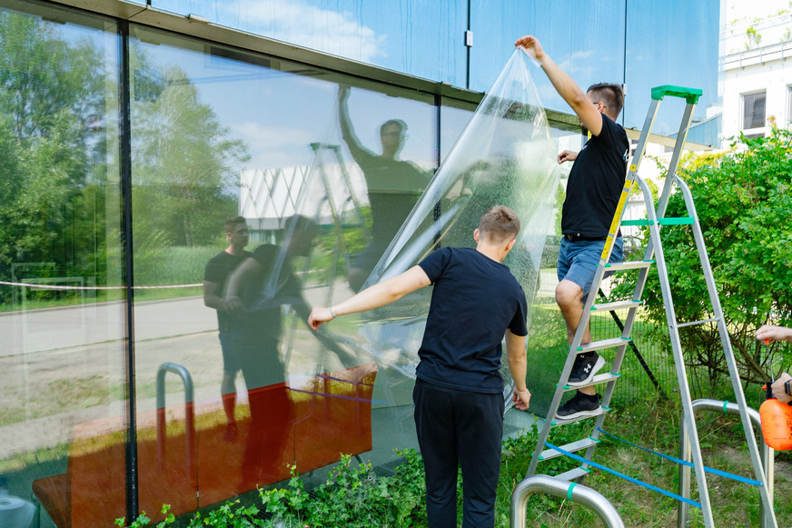 Montage von BirdShades-Folien für eine Freilandstudie