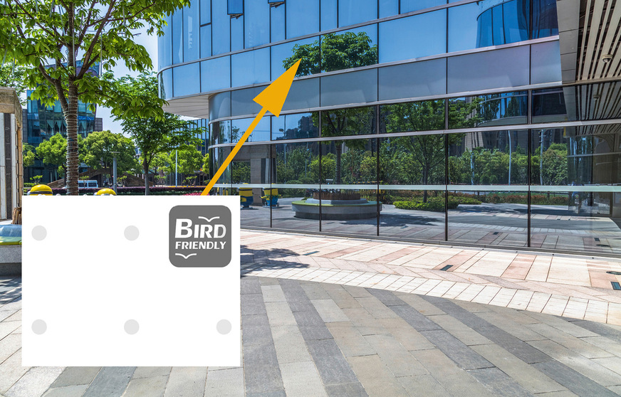 Vogelschutzmuster im Laserdruck auf Position 1: 3-facher Schutz für Vögel mit hoher Ästhetik für den Mensch. Mit blickdichten oder semitransparenten Punkten bietet das veredelte Glas hohen Schutz gegen Vogelschlag. Das Verfahren wurde von der American Bird Conservancy bei verschiedenen Beschichtungen und Glasaufbauten getestet.