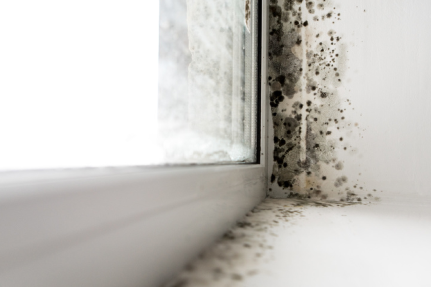 Schimmel in Innenräumen ist nicht nur ein optisches Ärgernis, er ist hochgradig gesundheitsgefährdend. Mit dem richtigen Einsatz von Fensterlüftern lässt sich ganz automatisch solche Schimmelbildung vermeiden.