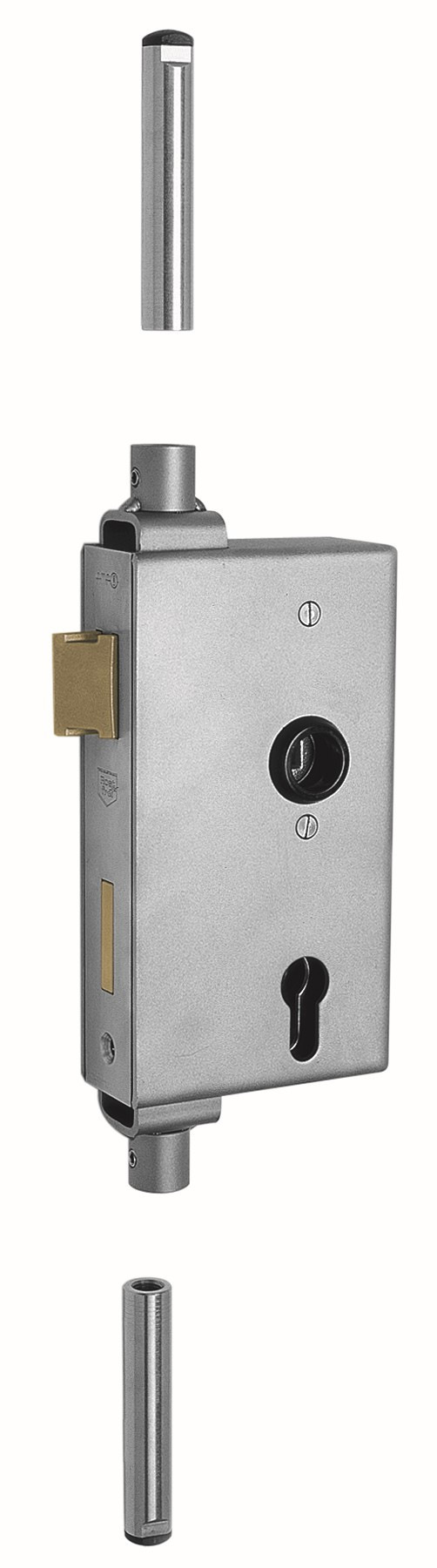 Einen vielseitig einsetzbaren Schlosskasten mit Mehrfachverriege-lung, verzinktem Schloss und Edelstahlstulpe liefert AMF mit seinem „Nr. 140UMV“.