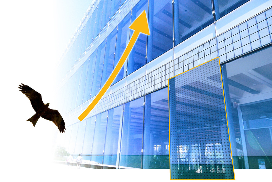 Auch Vogelschutz steht am 3. April 2025 auf der Agenda des Fassadentags in Mainz.