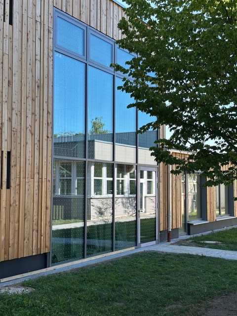 Eine gute Lösung, um Vögel vor der Kollision mit Fassaden / Fenstern zu schützen, sind Vogelschutzgläser.