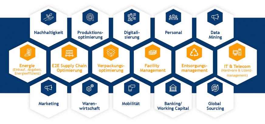 Das Portfolio der Beratungsleistungen der Era Group