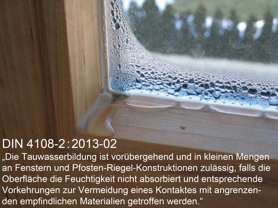 Schwitzende Fenster + Schimmel an Außenwand, trotz 3-4 Stoßlüften am Tag  der ganzen Wohnung + Luftentfeuchter. Was kann man tun? Danke! : r/Austria