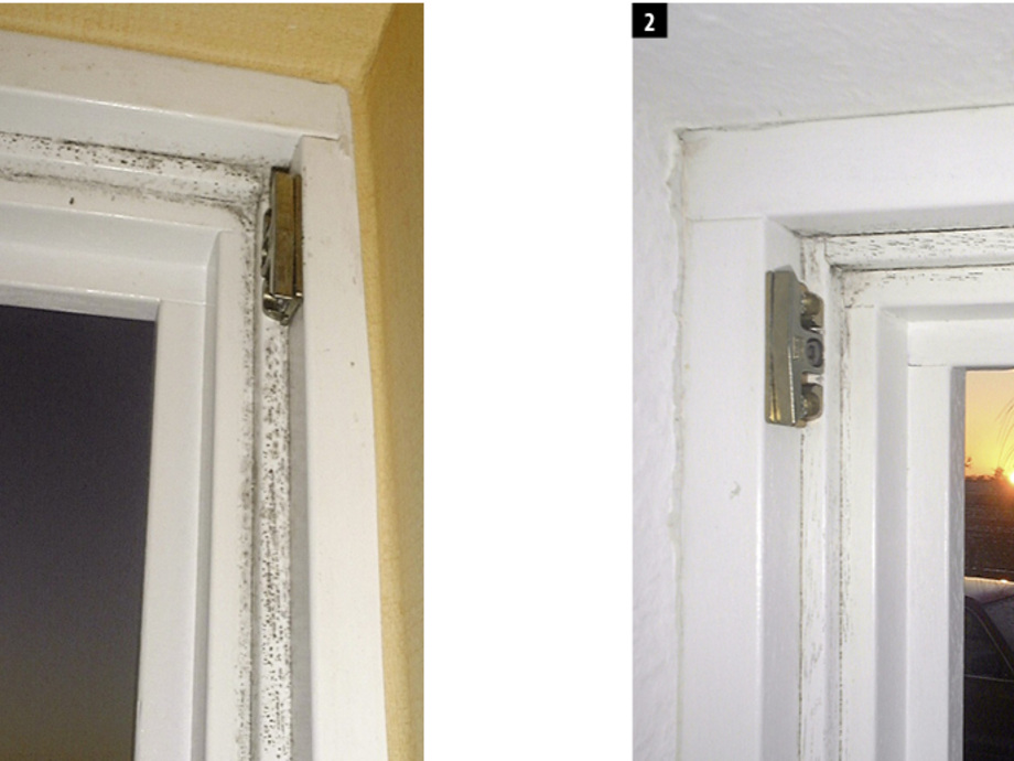 Schimmel Im Falz Trotz Gutem Fenster Glaswelt