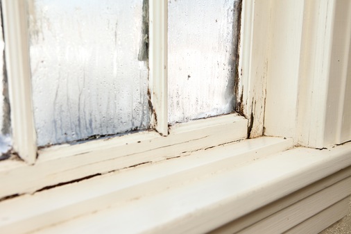 Die PHI-Studie zeigt, dass die Wahl des Abstandhalters einen wichtigen Einfluss auf die thermische Qualität des Fensters hat – Fenster wie diese mit Schimmel und Tauwasserbildung gehören damit der Vergangenheit an. - © iStock / ideabug
