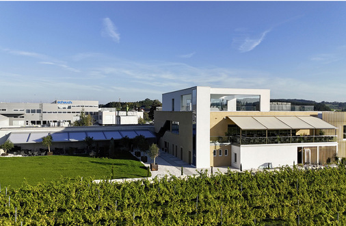 Die fast 290 m2 messenden Terrassen mit Blick in den Weingarten hat ein Fachpartner aus der Region mit zwei verschiedenen Modellen von markilux ausgestattet.