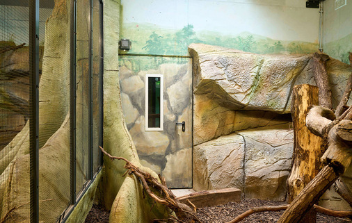 Individuell bemalt fügt sich das Industrie-Sektionaltor SW 40 mit Schlupftür ebenso wie ein Teil der Innen- und Außentüren bestens in die tropische Kulisse aus Wasser, Pflanzen und Steinen ein.