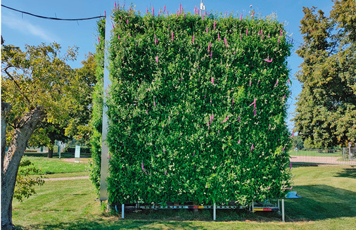 Ein durchdachtes Bewässerungssystem sorgt dafür, dass die Pflanzen optimal versorgt werden.