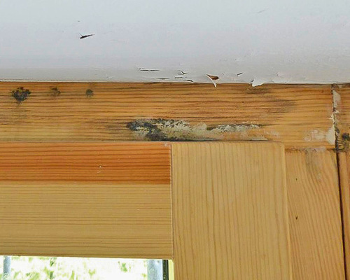 Ein Wasserschaden in der Decke einer Schule führte ­dazu das die Holzrahmen faulten.