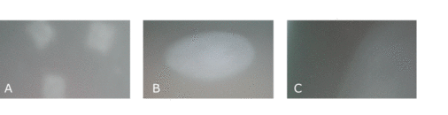 Bild: Nanogate 

Bild 6: Typische Probleme bei Mattglas mit silikonbasiertem Griffschutz: Helle Abdrücke von Korkabstandhaltern (A), Flecken von aggressiven Reinigern (B), “Wölkchen“ von milden Reinigern (C) - © Nanogate
