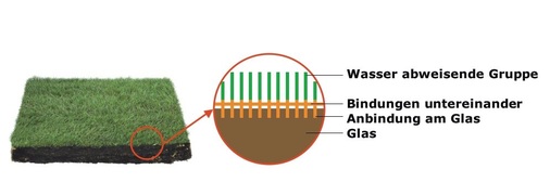 Bild 3: Schematischer Aufbau einer wasserabweisenden Beschichtung für Klarglas