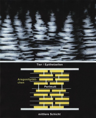 Bild 10: Prinzipstruktur von Perlmutt. Oben: „Türme“ von Aragonitblättchen. Unten: Blättchen in Matrix.
