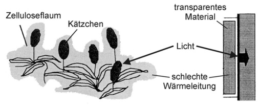 Bild 22: Transparente Wärmedämmung bei der Kriechweide, Salix arctica, sowie technisches transparentes Isolationsmaterial. - © Bild 22 nach Tributsch (2001)
