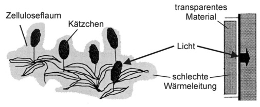 Bild 22: Transparente Wärmedämmung bei der Kriechweide, Salix arctica, sowie technisches transparentes Isolationsmaterial.