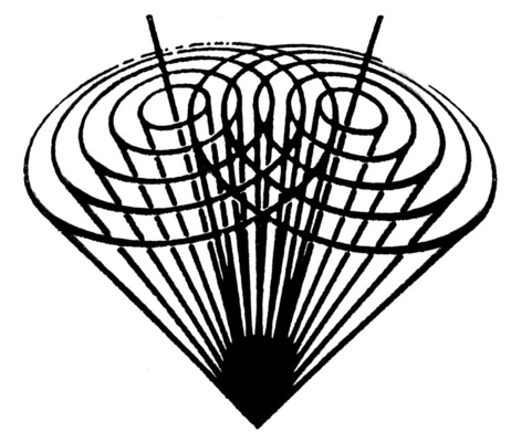 Bild 18: Imaginäre „Reflexions-Tüten“ im Komplexauge eines Flusskrebses; vergl. den Text.