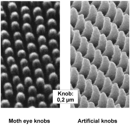 Bild 17: Knopfförmige Strukturen zur Entspiegelung auf der Cornea-Oberfläche eines Nachtfalters (links) und künstliche Nachahmung zur Entspiegelung von Brillen (rechts).