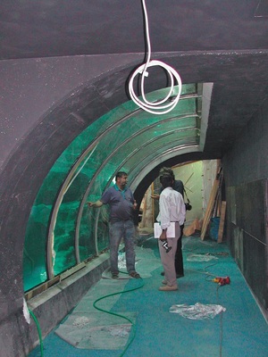 Hohe Anforderungen an gebogenes Glas stellt auch die Anwendung als Glastunnel für ein Piranhabecken im Vivarium Mariahof. Belastungen bis zu 30kN/m2 müssen abgefangen werden.