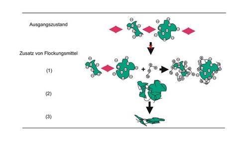 Schematische Darstellung des Flockungsprozesses: Im Ausgangszustand direkt nach dem Schleifvorgang sind die Glaspartikel gleichsinnig geladen und stoßen sich gegenseitig ab. Ein Absetzen ist nur möglich, wenn die Teilchen entladen sind — ein Prozess, der mitunter Tage dauern kann. Zur Beschleunigung wird der Suspension Flockungsmittel zugesetzt:Im ersten Schritt kompensiert das Flockungsmittel die Teilchenladung. Im zweiten Schritt „kleben“ mehrere Teilchen zusammen (Flockenbildung). Im dritten Schritt setzen sich die Flocken ab (Sedimentation)