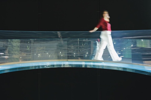Wo liegen die Grenzen der Glasbemessung<br />Absoluter Hingucker auf der Messe war die gebogene gläserne Brücke der Firma Seele aus kaltgeformtem Glas mit einer Stärke von nur 37 mm. - © Messe Düsseldorf
