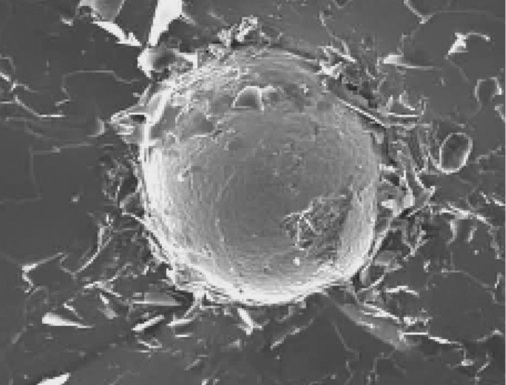 So sieht der Verursacher des Spontanbruchs ausEin NiS-Kristall unter dem Elektronen­mikroskop.