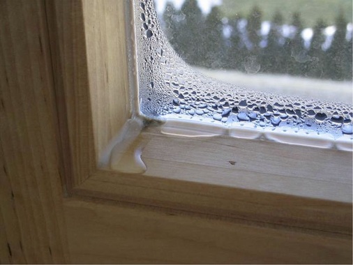 Am häufigsten ist die „Kondensatbildung am Glasrand und im Falzbereich“ der Fenster vertreten. Generell ist der Einsatz von wärmetechnisch verbesserten Abstandhaltern aufgrund der angrenzenden Holzsubstanz dringend anzuraten.