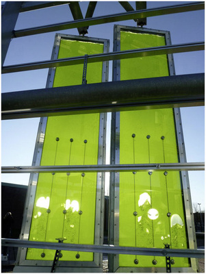 An der zur Sonne ausgerichteten Glasfassade sind über 130 platten­förmige Kollektormodule (Photo­bioreaktoren ) vorgehängt.