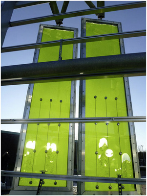 An der zur Sonne ausgerichteten Glasfassade sind über 130 platten­förmige Kollektormodule (Photo­bioreaktoren ) vorgehängt.