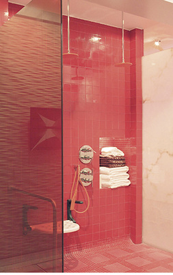 <p>
Mit lackierten Scheiben für die Duschrückwand lassen sich im Bad Farbakzente setzen.
</p>