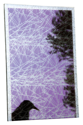 
Normalerweise können nur Vögel diese Strukturen (hier sichtbar gemacht) auf dem Glas als Hindernis wahrnehmen und dann im Flug entsprechend ausweichen. Für das menschliche Auge sind Muster im Fassadenglas hingegen unsichtbar. 
