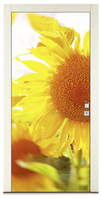 
Döpfner drucken Wunschmotive im Tintenstrahl-Direktdruckverfahren auf die Rückseite der Glasscheibe.
