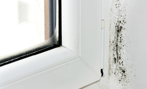 <p>
</p>

<p>
Eine hohe Dichtigkeit von Fenster und Rollladenkasten schafft ganz schnell neue Probleme, wenn das Thema Lüftung nicht konsequent berücksichtigt wird. Schimmelbildung ist dann in vielen Fällen nicht zu vermeiden.
</p> - © Foto: Thinkstock / beti gorse

