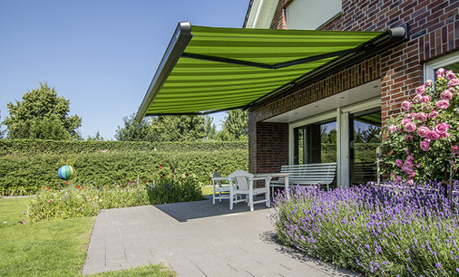 



Der Markisentyp MX-1 sorgte letztes Jahr für viel Aufmerksamkeit bei der Präsentation während der Roadshows. Mittlerweile hat sich das Modell etabliert.
