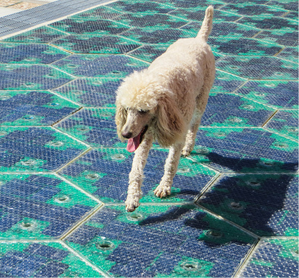 



Die US-Firma Solar Roadways entwickelt gläserne Fahrbahnen, die sich selbst beleuchten, eisfrei halten, Strom liefern und vieles mehr. 
