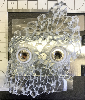 
03: Ansicht der freigelegten Bruchstücke mit den beiden schmetterlingsflügelartigen Bruchstücken



