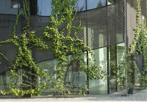 <p>
</p>

<p>
Solche Edelstahlnetze vor der Fassade bieten selbst im unbegrünten Zustand einen guten Vogelschutz.
</p> - © Foto: Carl Stahl ARC GmbH / André Kirchne

