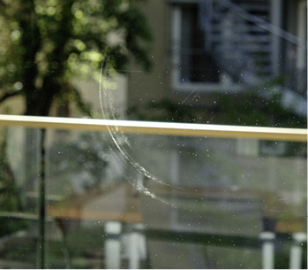 



02: Saugerabdrücke, die nur bei Sonnenschein sichtbar sind …
