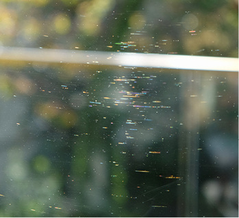 



03: … können ebenfalls wie Kratzer, die nur im Sonnenlicht zu sehen sind, als Mangel gewertet werden.
