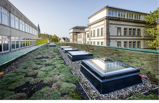 



Auch über den Besprechungsräumen und der Bibliothek im neuen Gebäudekomplex gehören große Glaselemente zum Innendesign-Konzept.
