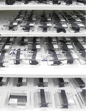 



Robust: Die Silikon-Isolierglasprodukte von Momentive sind vielfach getestet und verfügen über eine hohe Mischtoleranz. 
