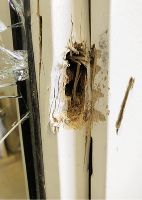 



… oder unter Zuhilfenahme einer Akku- Bohrmaschine von einem erfahrenem Prüfingenieur malträtiert.
