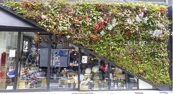 



Die Fassadenbegrünung am Gebäude „Le Lien“ im japanischen Kobe übernimmt auch gestalterische Funktion.
